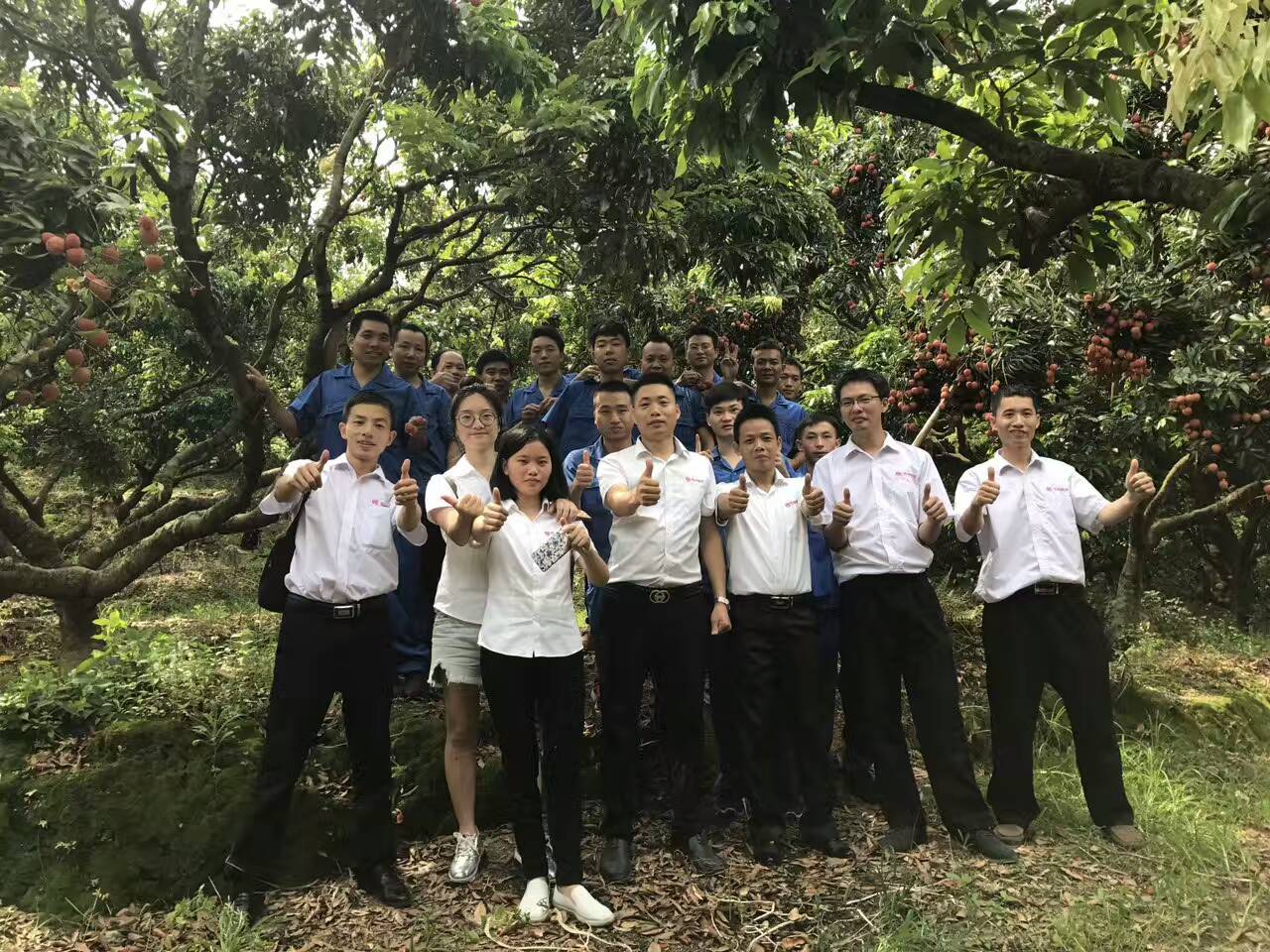 恒坤数控员工集体照,罗浮山荔枝园之行 集体照